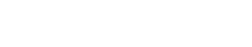 BetWinner
